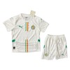 Camiseta de fútbol Senegal Niño 1ª equipación 2024-25 Camiseta de fútbol Senegal Niño 1ª equipación 2024-25